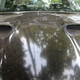 Image for article titled 1968 Pontiac GTO